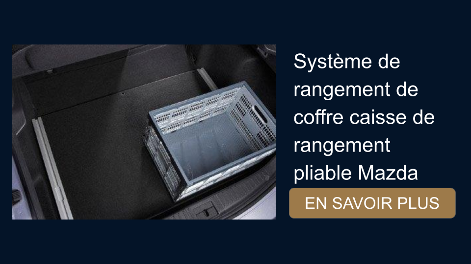 systeme de rangement de coffre de caisse